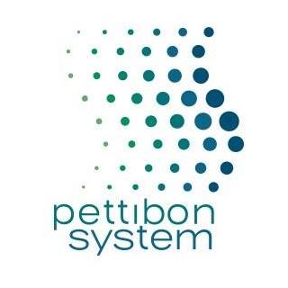 pettibon 1